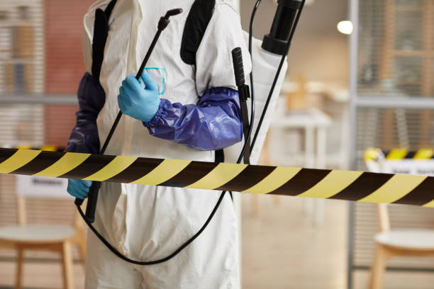 Professional Hoarding Cleanup technician working in Raymond, WA